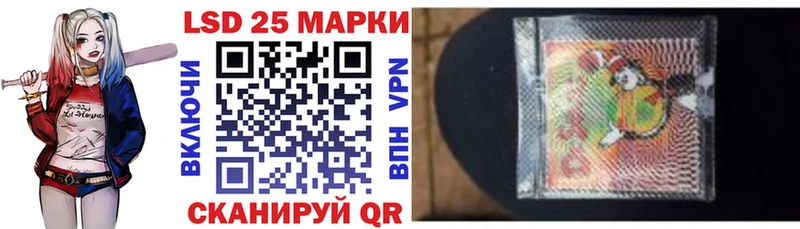 Купить закладки Няндома Марки N-bome 1500мкг